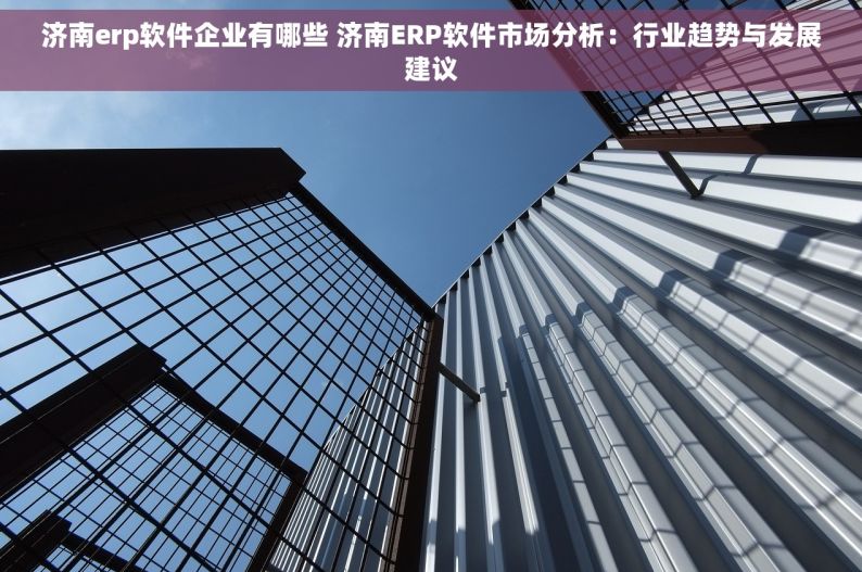 济南erp软件企业有哪些 济南ERP软件市场分析：行业趋势与发展建议