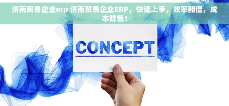 济南贸易企业erp 济南贸易企业ERP，快速上手，效率翻倍，成本降低！