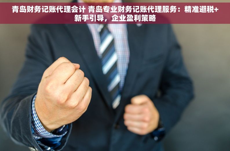 青岛财务记账代理会计 青岛专业财务记账代理服务：精准避税+新手引导，企业盈利策略