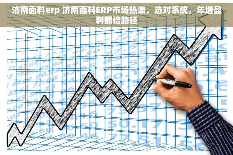 济南面料erp 济南面料ERP市场热浪，选对系统，年增盈利翻倍路径