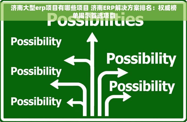 济南大型erp项目有哪些项目 济南ERP解决方案排名：权威榜单揭示首选项目