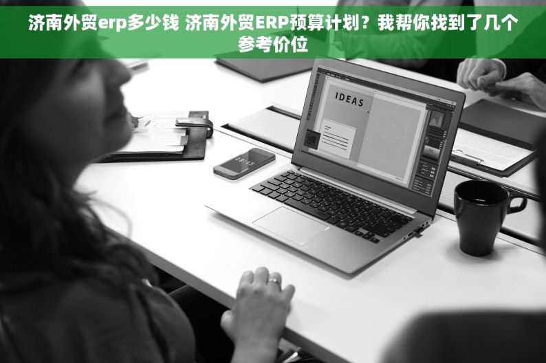 济南外贸erp多少钱 济南外贸ERP预算计划？我帮你找到了几个参考价位