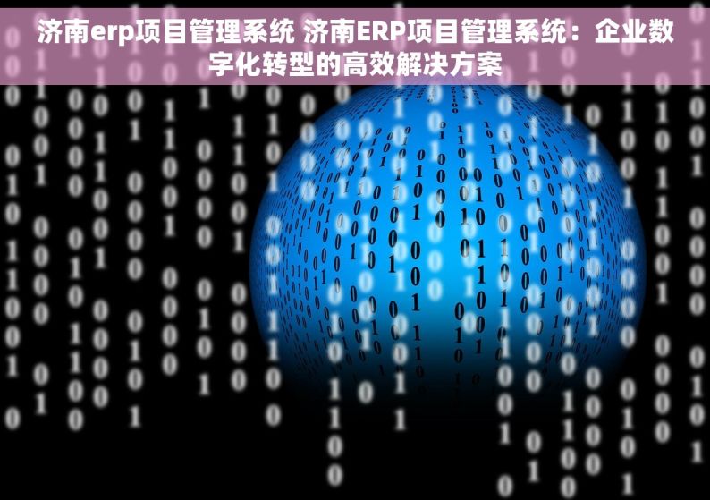 济南erp项目管理系统 济南ERP项目管理系统：企业数字化转型的高效解决方案