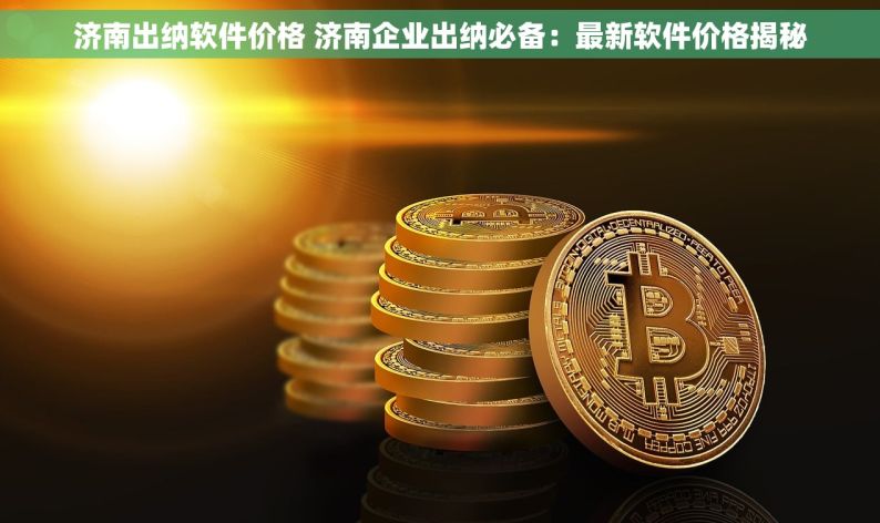 济南出纳软件价格 济南企业出纳必备：最新软件价格揭秘