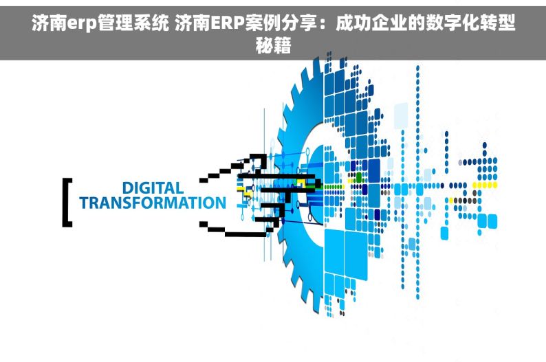 济南erp管理系统 济南ERP案例分享：成功企业的数字化转型秘籍