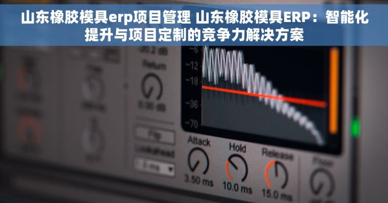 山东橡胶模具erp项目管理 山东橡胶模具ERP：智能化提升与项目定制的竞争力解决方案
