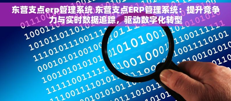 东营支点erp管理系统 东营支点ERP管理系统：提升竞争力与实时数据追踪，驱动数字化转型