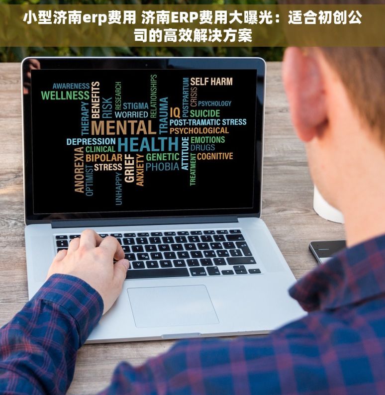 小型济南erp费用 济南ERP费用大曝光：适合初创公司的高效解决方案