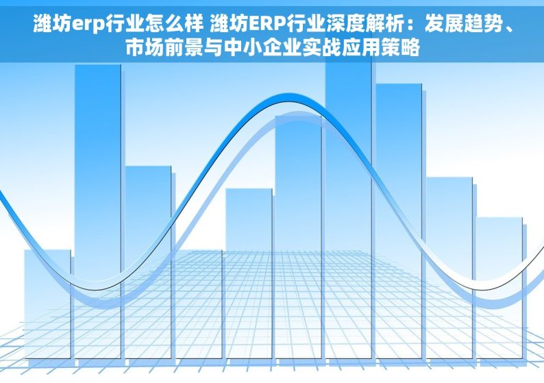 潍坊erp行业怎么样 潍坊ERP行业深度解析：发展趋势、市场前景与中小企业实战应用策略