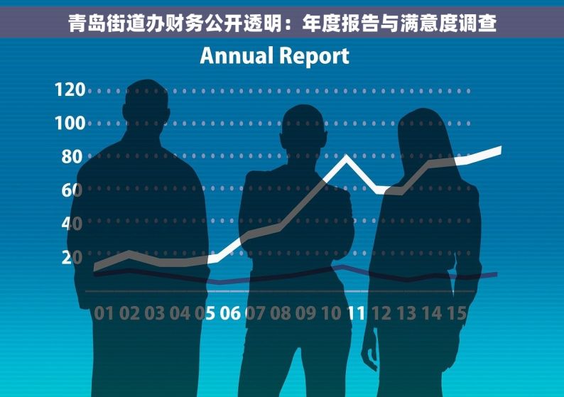 青岛街道办财务公开透明：年度报告与满意度调查