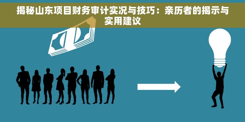 揭秘山东项目财务审计实况与技巧：亲历者的揭示与实用建议