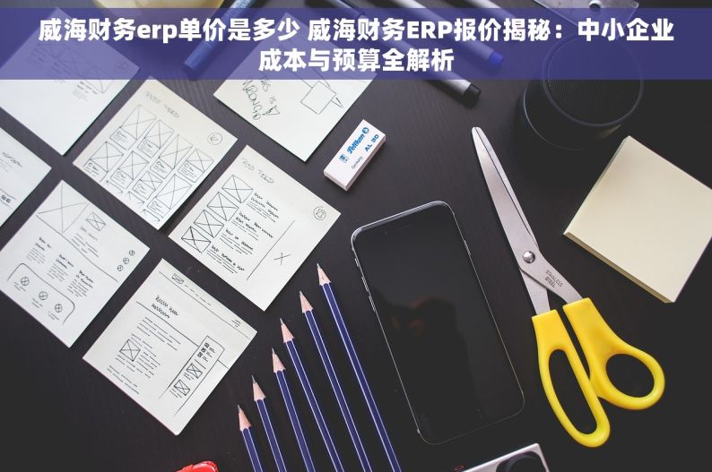 威海财务erp单价是多少 威海财务ERP报价揭秘：中小企业成本与预算全解析