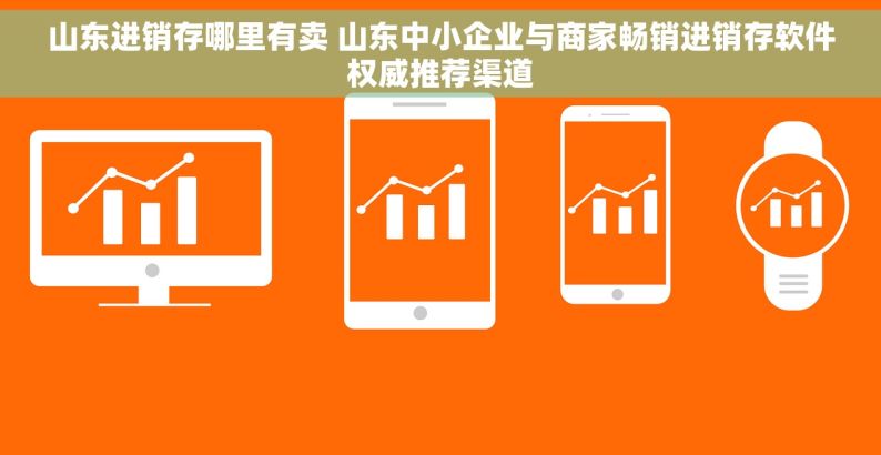 山东进销存哪里有卖 山东中小企业与商家畅销进销存软件权威推荐渠道