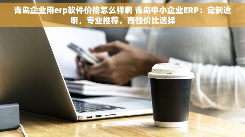 青岛企业用erp软件价格怎么样啊 青岛中小企业ERP：定制透明，专业推荐，高性价比选择