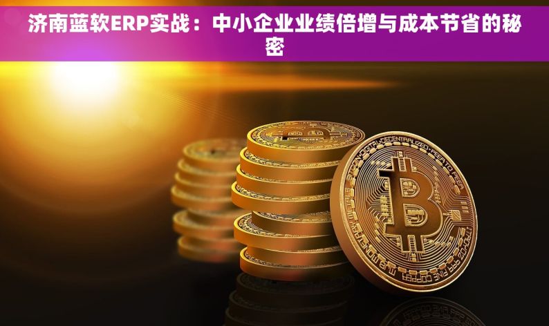 济南蓝软ERP实战：中小企业业绩倍增与成本节省的秘密