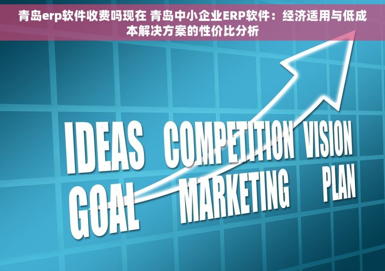青岛erp软件收费吗现在 青岛中小企业ERP软件：经济适用与低成本解决方案的性价比分析