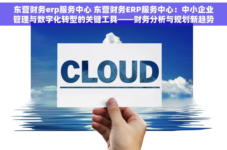 东营财务erp服务中心 东营财务ERP服务中心：中小企业管理与数字化转型的关键工具——财务分析与规划新趋势