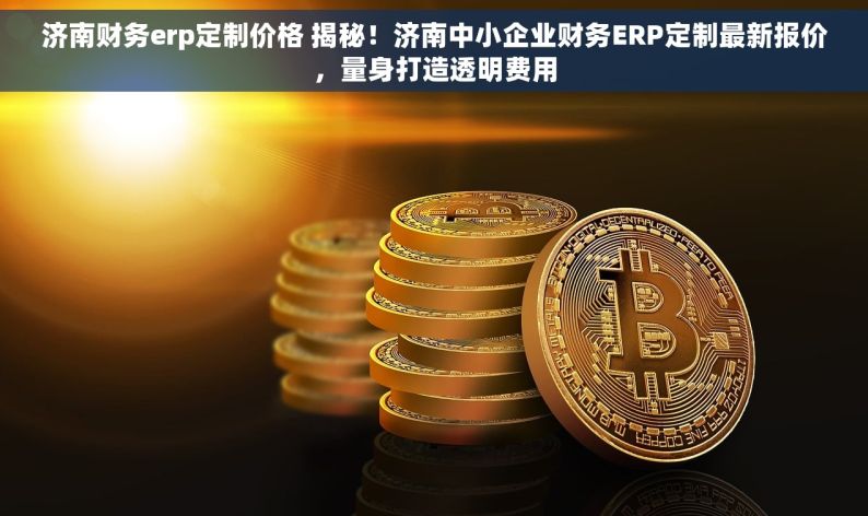 济南财务erp定制价格 揭秘！济南中小企业财务ERP定制最新报价，量身打造透明费用