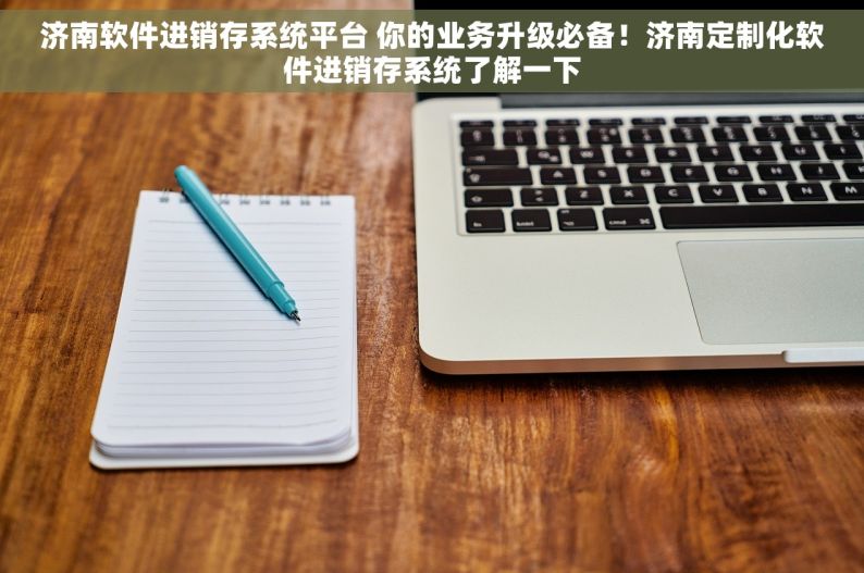 济南软件进销存系统平台 你的业务升级必备！济南定制化软件进销存系统了解一下