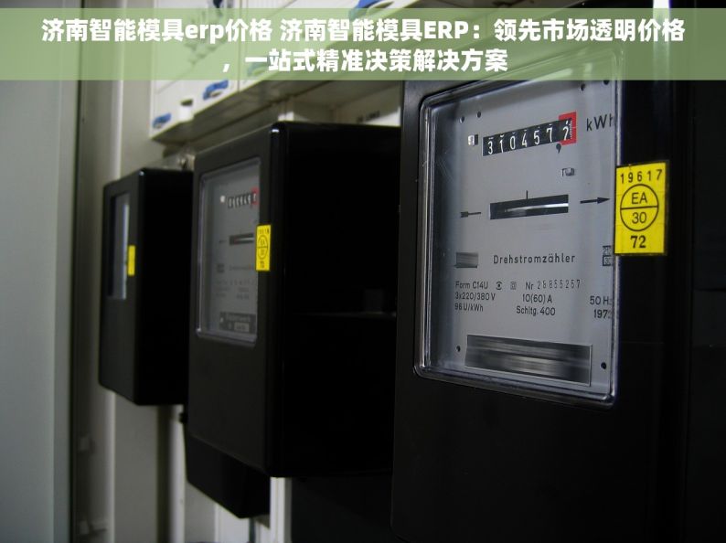 济南智能模具erp价格 济南智能模具ERP：领先市场透明价格，一站式精准决策解决方案