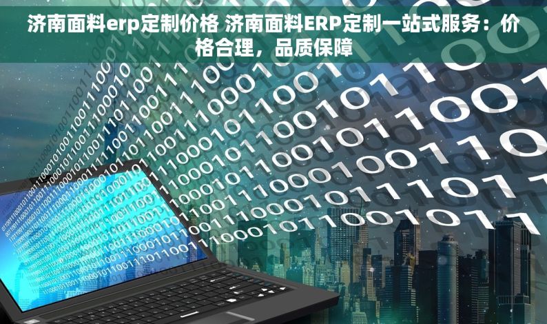 济南面料erp定制价格 济南面料ERP定制一站式服务：价格合理，品质保障