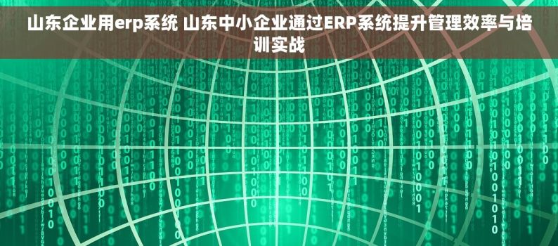 山东企业用erp系统 山东中小企业通过ERP系统提升管理效率与培训实战