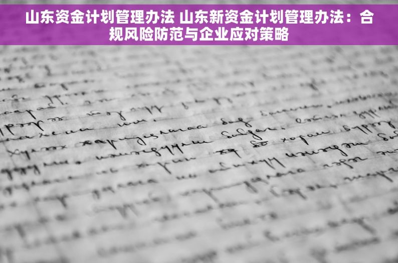 山东资金计划管理办法 山东新资金计划管理办法：合规风险防范与企业应对策略