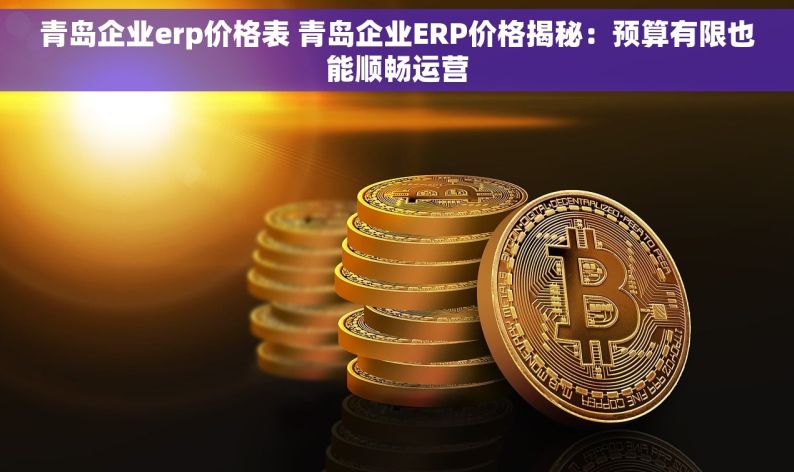 青岛企业erp价格表 青岛企业ERP价格揭秘：预算有限也能顺畅运营