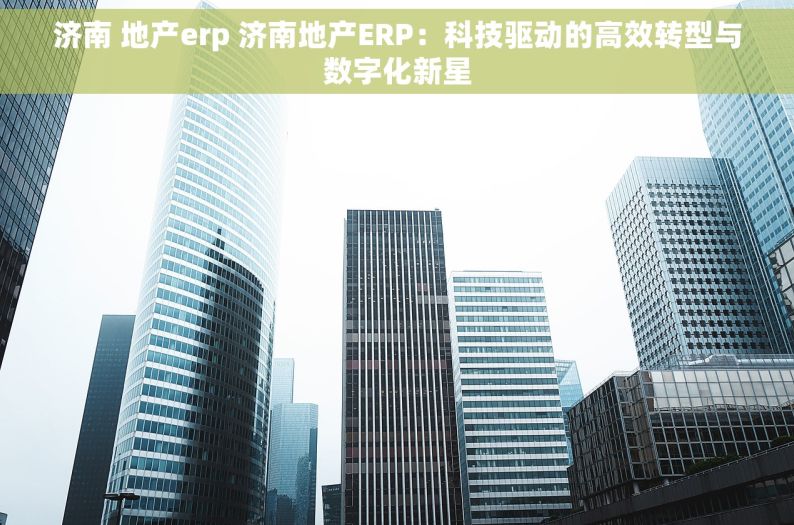 济南 地产erp 济南地产ERP：科技驱动的高效转型与数字化新星