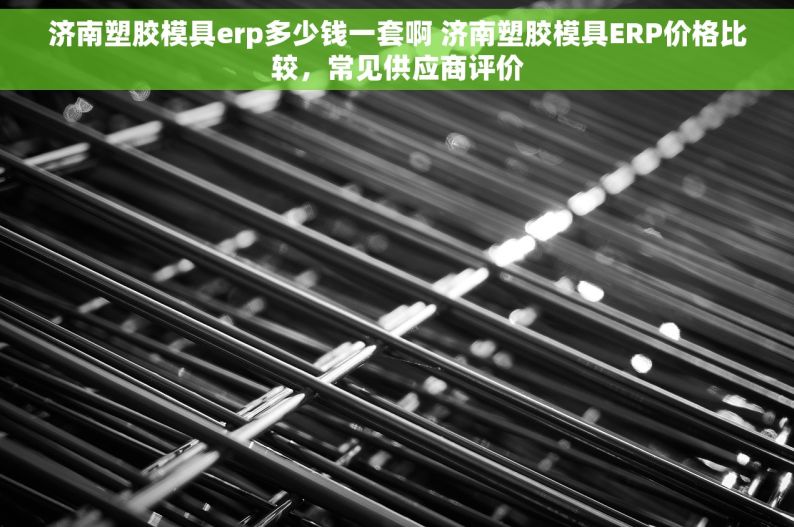 济南塑胶模具erp多少钱一套啊 济南塑胶模具ERP价格比较，常见供应商评价