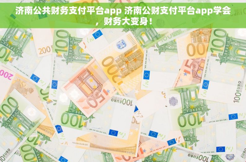 济南公共财务支付平台app 济南公财支付平台app学会，财务大变身！