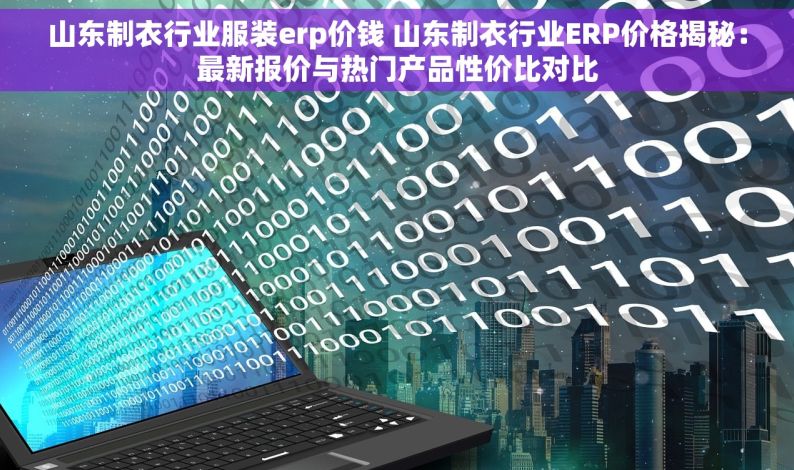 山东制衣行业服装erp价钱 山东制衣行业ERP价格揭秘：最新报价与热门产品性价比对比