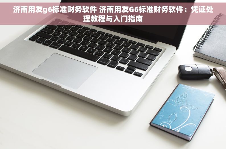 济南用友g6标准财务软件 济南用友G6标准财务软件：凭证处理教程与入门指南