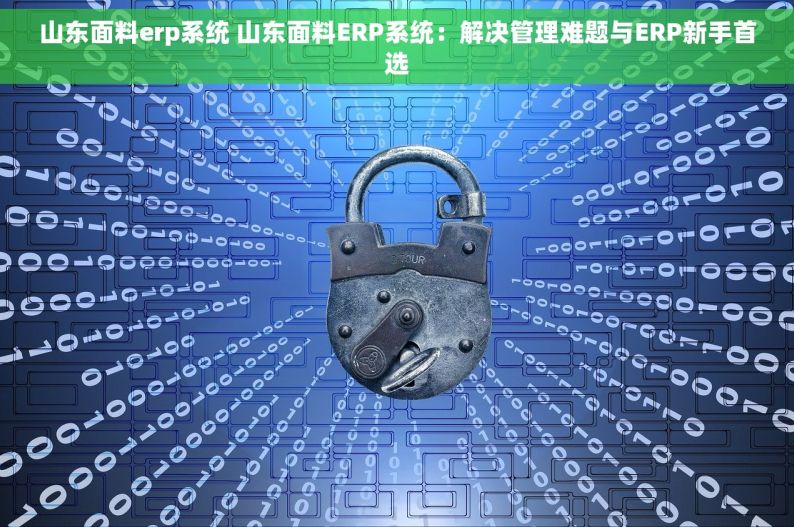 山东面料erp系统 山东面料ERP系统：解决管理难题与ERP新手首选