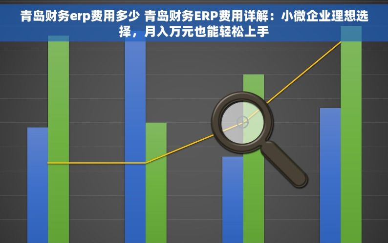 青岛财务erp费用多少 青岛财务ERP费用详解：小微企业理想选择，月入万元也能轻松上手