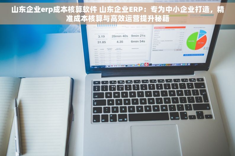 山东企业erp成本核算软件 山东企业ERP：专为中小企业打造，精准成本核算与高效运营提升秘籍