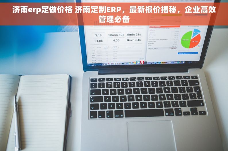 济南erp定做价格 济南定制ERP，最新报价揭秘，企业高效管理必备