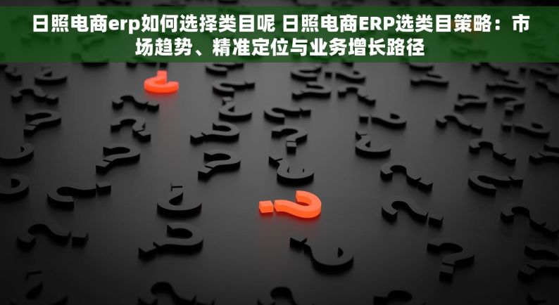 日照电商erp如何选择类目呢 日照电商ERP选类目策略：市场趋势、精准定位与业务增长路径