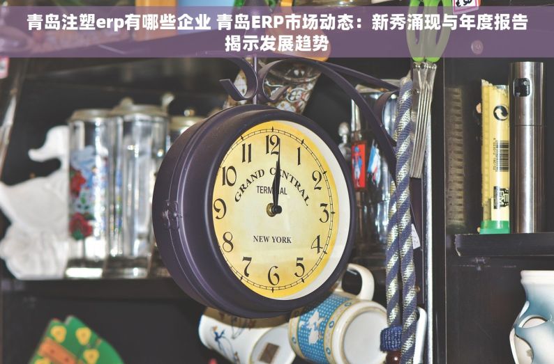 青岛注塑erp有哪些企业 青岛ERP市场动态：新秀涌现与年度报告揭示发展趋势