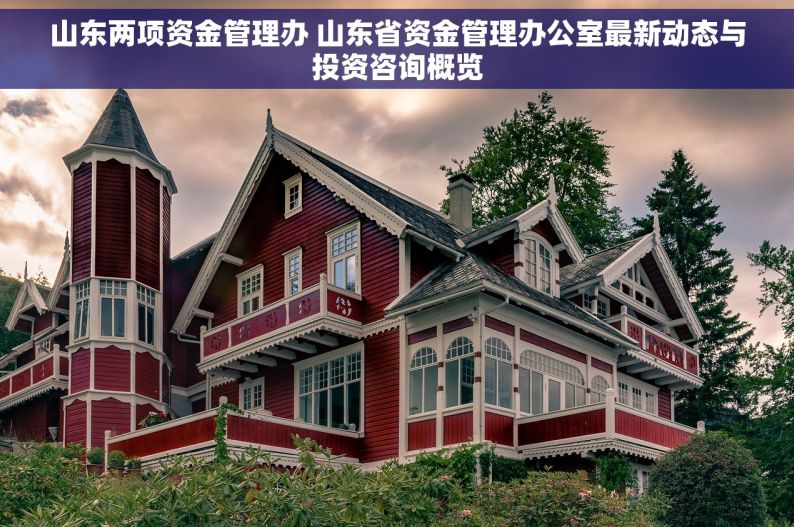 山东两项资金管理办 山东省资金管理办公室最新动态与投资咨询概览