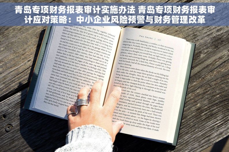 青岛专项财务报表审计实施办法 青岛专项财务报表审计应对策略：中小企业风险预警与财务管理改革