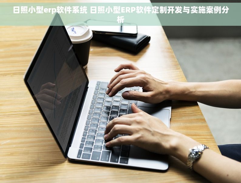 日照小型erp软件系统 日照小型ERP软件定制开发与实施案例分析