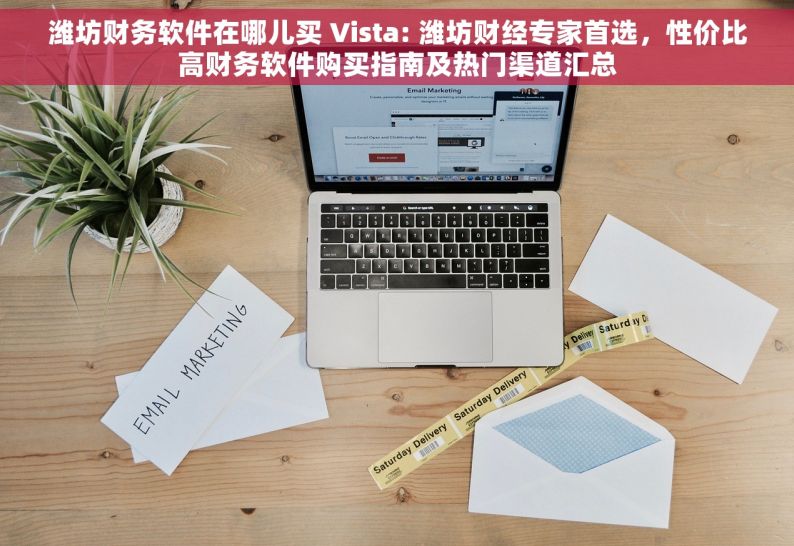 潍坊财务软件在哪儿买 Vista: 潍坊财经专家首选，性价比高财务软件购买指南及热门渠道汇总