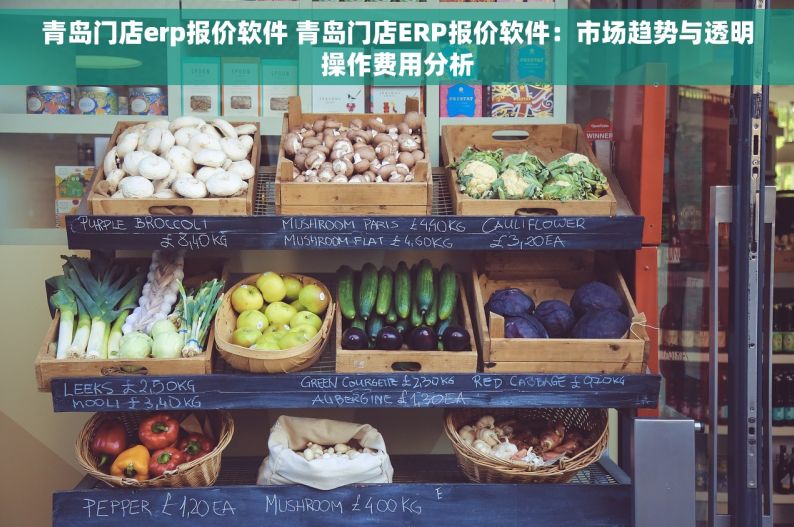 青岛门店erp报价软件 青岛门店ERP报价软件：市场趋势与透明操作费用分析