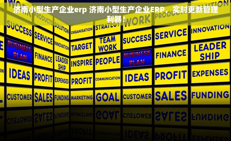 济南小型生产企业erp 济南小型生产企业ERP，实时更新管理利器！