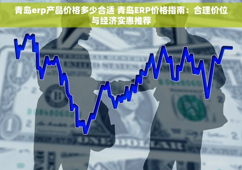 青岛erp产品价格多少合适 青岛ERP价格指南：合理价位与经济实惠推荐