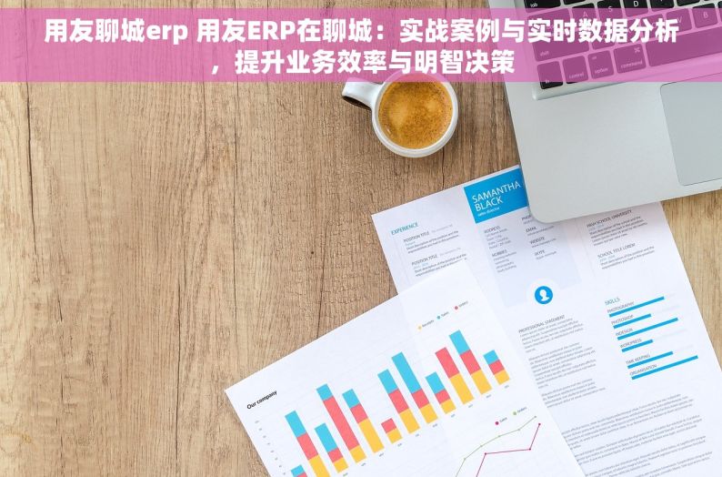 用友聊城erp 用友ERP在聊城：实战案例与实时数据分析，提升业务效率与明智决策