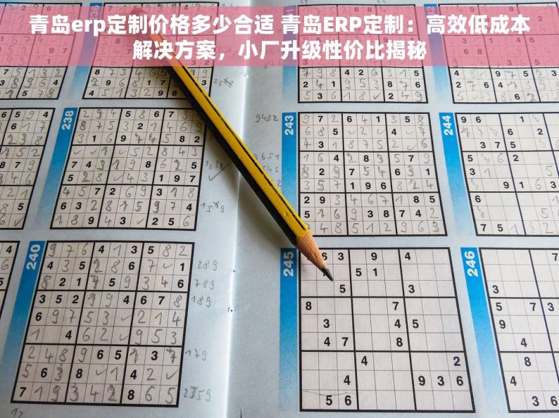 青岛erp定制价格多少合适 青岛ERP定制：高效低成本解决方案，小厂升级性价比揭秘