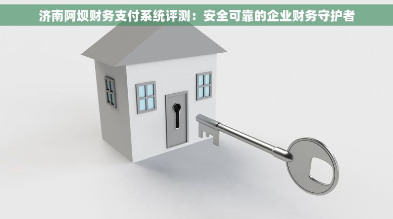 济南阿坝财务支付系统评测：安全可靠的企业财务守护者