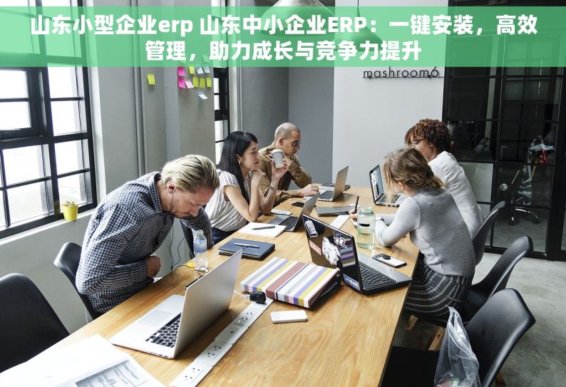 山东小型企业erp 山东中小企业ERP：一键安装，高效管理，助力成长与竞争力提升